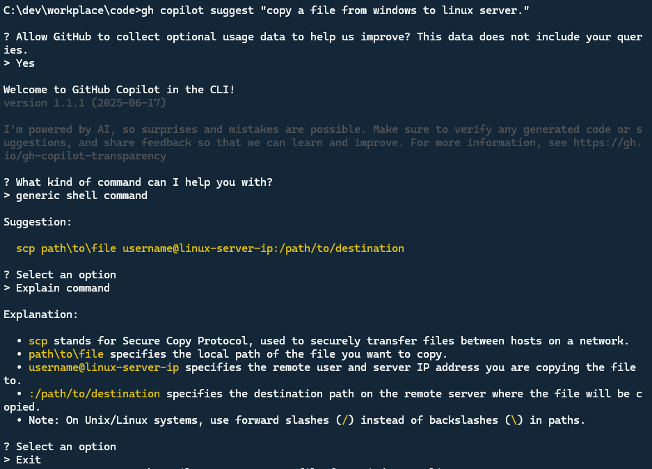 GitHub Copilot AI CLI example 1