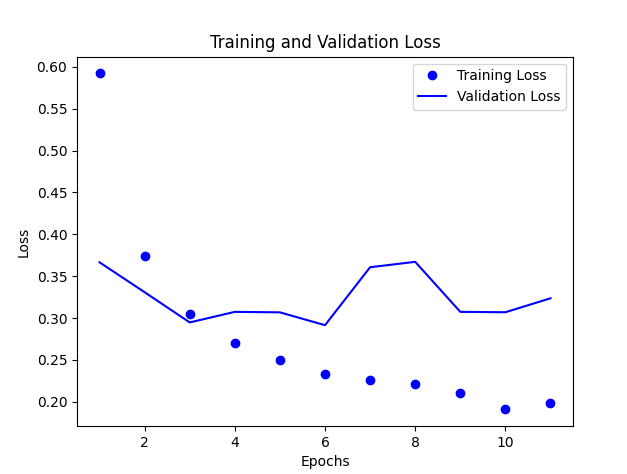 Training and Validation Loss